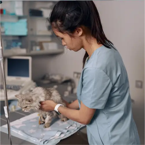 Parasitologia Veterinária