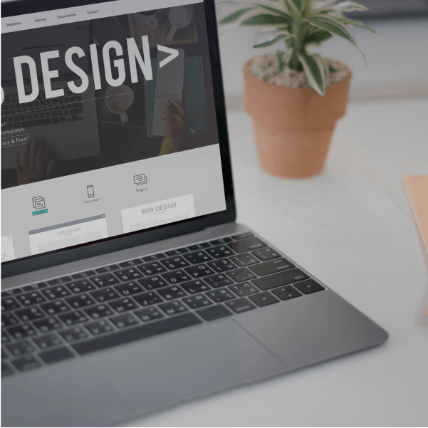 Web Designer em Wordpress